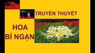 Truyền thuyết về loài hoa bỉ ngạn ở thế giới bên kia [ Tin nổi bật ]