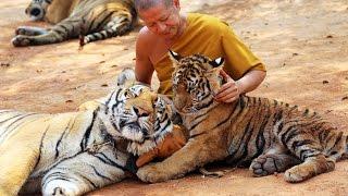 Phượt TV | Chùa cọp ở Kanchanaburi (Tiger temple in Kanchanaburi, Thailand)