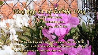 [Thực hành] Tổng hợp 21 bộ Thủ Ấn Mật Tông