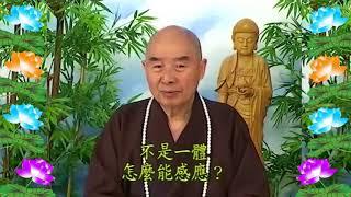 Kinh Đại Phương Quảng Phật Hoa Nghiêm, tập 0354