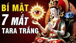 Vì Sao Bạch Độ Mẫu Có 7 Mắt? Bí Mật Chữa Lành Từ Nước Mắt Quán Âm