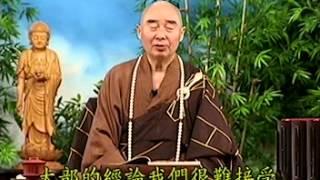 Kinh Vô Lượng Thọ tập 25.mpg - Pháp Sư Tịnh Không
