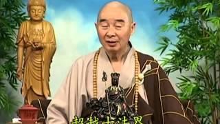 Tập 037 - (HQ) Kinh Đại Thừa Vô Lượng Thọ - Pháp sư Tịnh Không chủ giảng -  cẩn dịch cư sĩ Vọng Tây
