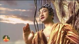 Lời Phật Dạy Về Luật Nhân Quả Không Nên Xem Nhẹ,