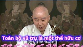 TĐ:2537- Toàn bộ vũ trụ là một thể hữu cơ