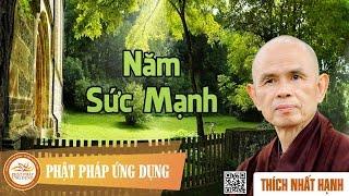 Năm Sức Mạnh - Thầy Thích Nhất Hạnh