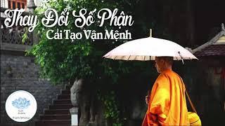 Cuộc Đời Của Bạn Sẽ Thay Đổi Số Phận Khi Nghe Lời Phật Dạy Cải Tạo Vận Mệnh