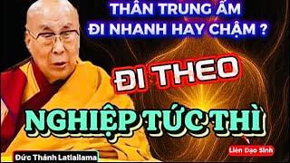 Linh hồn đi đâu trong 49 ngày?