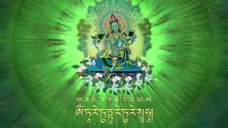 Thần Chú Lục Độ Phật Mẫu Green Tara Goddess 救度母 Green Tara Mantra Om Tare Tuttare Ture Svaha