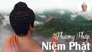 Người Niệm Phật Tại Gia Nên Niệm Phật Như Thế Nào Để An Lành Tự Tại Trong Đời Sống - Lời Phật Dạy