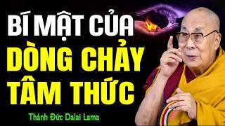 BÍ MẬT CỦA DÒNG CHẢY TÂM THỨC - NHỮNG THỨ MẮT THƯỜNG KHÔNG THỂ NHÌN LẤY ĐƯỢC | Thánh Đức Dalai Lama