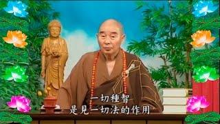 Kinh Đại Phương Quảng Phật Hoa Nghiêm,  tập 0022