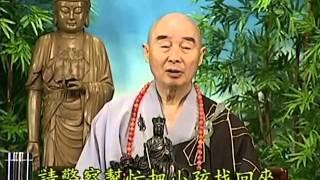 Tập 131 - (HQ) Kinh Đại Thừa Vô Lượng Thọ - Pháp sư Tịnh Không chủ giảng -  cẩn dịch cư sĩ Vọng Tây