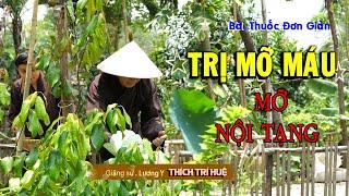 Mỡ Máu Cao Đến Mấy Cũng Hết Sạch nhờ vào 2 loại LÁ này | Cholesterol, Visceral fat | CHÙA PHÁP TẠNG