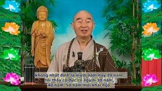 Kinh Đại Phương Quảng Phật Hoa Nghiêm, tập 0100 [phụ đề]