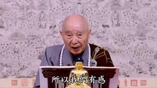 Phật hy vọng chúng ta, Tổ sư hy vọng chúng ta, không được quên mất câu Phật hiệu này.