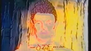 Giới thiệu về thế giới cực lạc