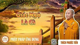 Giác Ngộ Là Gì - Thầy Thích Phước Tiến 2016