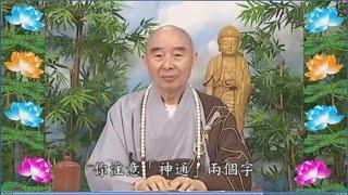 Kinh Đại Phương Quảng Phật Hoa Nghiêm, tập 0245