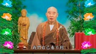Kinh Đại Phương Quảng Phật Hoa Nghiêm,  tập 0021