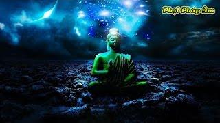 Phật Pháp Âm- Con Người Từ Đâu Mà Đến (rất hay)- Thuyết pháp mới Nhất