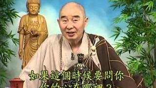 Tập 039 - (HQ) Kinh Đại Thừa Vô Lượng Thọ  Pháp sư Tịnh Không chủ giảng -  cẩn dịch cư sĩ Vọng Tây