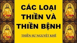 Các loại thiền và thiền bệnh