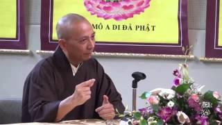 Buông Xả (Kỳ 1) (Giảng Tại Châu Âu, 2013) - Cư Sĩ Diệu Âm