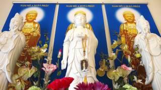 Ý Nghĩa Cúng Dường HOA