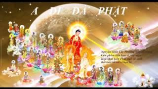 KINH ĐẠI THỪA VÔ LƯỢNG THỌ TRANG NGHIÊM THANH TỊNH BÌNH ĐẲNG GIÁC