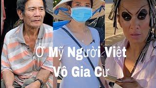 NGƯỜI VIỆT - MỸ VÔ GIA CƯ Ở CALI TRONG MUÀ COVID-19