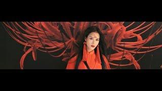 HOA TRẦN- BỈ NGẠN ĐỎ cover nhạc phim "Tam sinh tam thế"