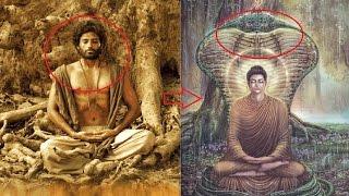 Top 10 sự thật thú vị về đức Phật