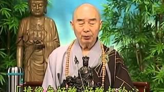 Tập 143 - (HQ) Kinh Đại Thừa Vô Lượng Thọ - Pháp sư Tịnh Không chủ giảng -  cẩn dịch cư sĩ Vọng Tây
