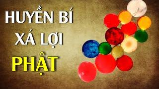 Huyền bí của những hạt Xá lợi Phật - Tinh Hoa TV