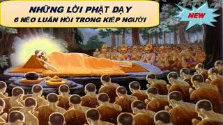 6 Nẻo Luân Hồi