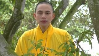 TINH TA NGAY AY _ Thich Thanh Hai