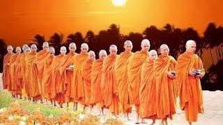 Con Đường Giác Ngộ