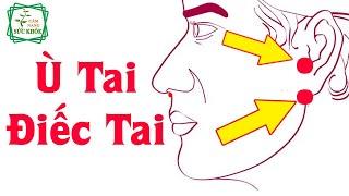 Cách chữa Ù Tai Điếc Tai cực hiệu quả của Lương Y Huỳnh Văn Phích