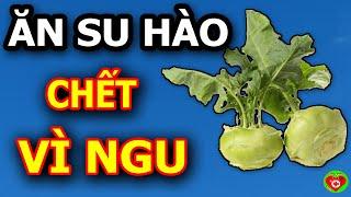 CHẾT NGAY TỨC THÌ Nếu Còn Ăn SU HÀO Kiểu Này, Phá Gan Nát Thận