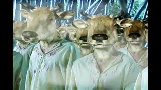 Phim Phật Giáo Hay Nhất Về Nhân Quả Báo Ứng - Phật Pháp Tu Hành