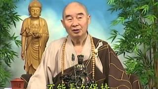 Tập 042 - (HQ) Kinh Đại Thừa Vô Lượng Thọ - Pháp sư Tịnh Không chủ giảng -  cẩn dịch cư sĩ Vọng Tây