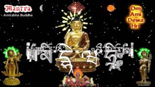 Amitabha Buddha Mantra - Phật A Di Đà _ Tâm Chú - Xoay