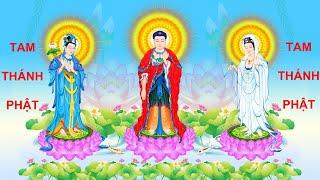 TAM THÁNH PHẬT GỒM VỊ PHẬT NÀO Ở CÕI TÂY PHƯƠNG?
