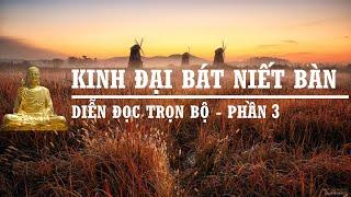 Kinh Đại Bát Niết Bàn Phần 3