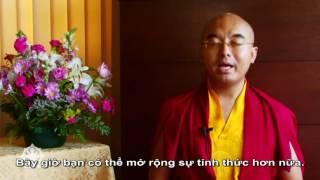 Hướng dẫn hành thiền do thiền sư Tây Tạng hướng dẫn