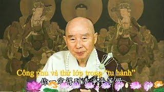 TĐ:1768- Công phu và thứ lớp trong “tu hành”