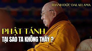 Điều gì đã che giấu Phật Tánh khiến ta không tìm thấy, Thánh Đức Dalai Lama khai ngộ dễ hiểu 