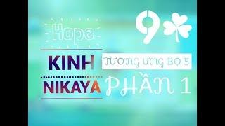 KINH TƯƠNG ƯNG BỘ 5 Phần 1 (Kinh Nguyên Thuỷ) (Nikaya 1080HD)