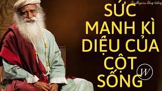 Sức Mạnh Kỳ Diệu của Cột Sống